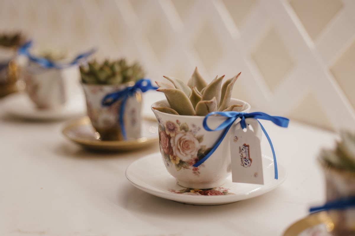 Succulent teacup party favors with blue ribbon at Tea Time at Monarch