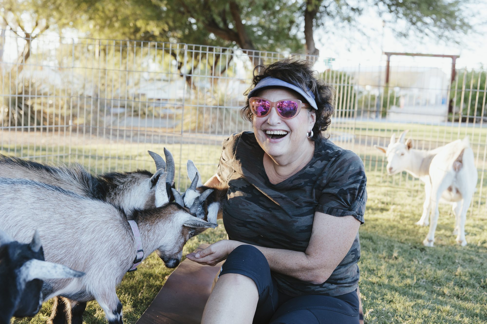 A woman in pink sunglasses laughs as goats nuzzle her
